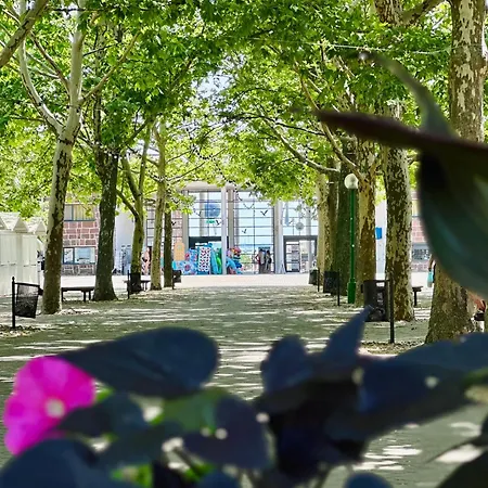 Balaton Wave Apartment