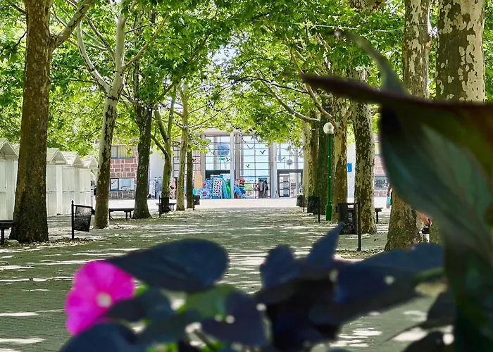 Balaton Wave Appartement